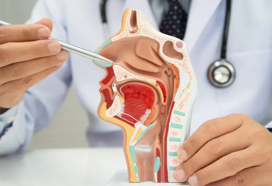 Septoplasty
